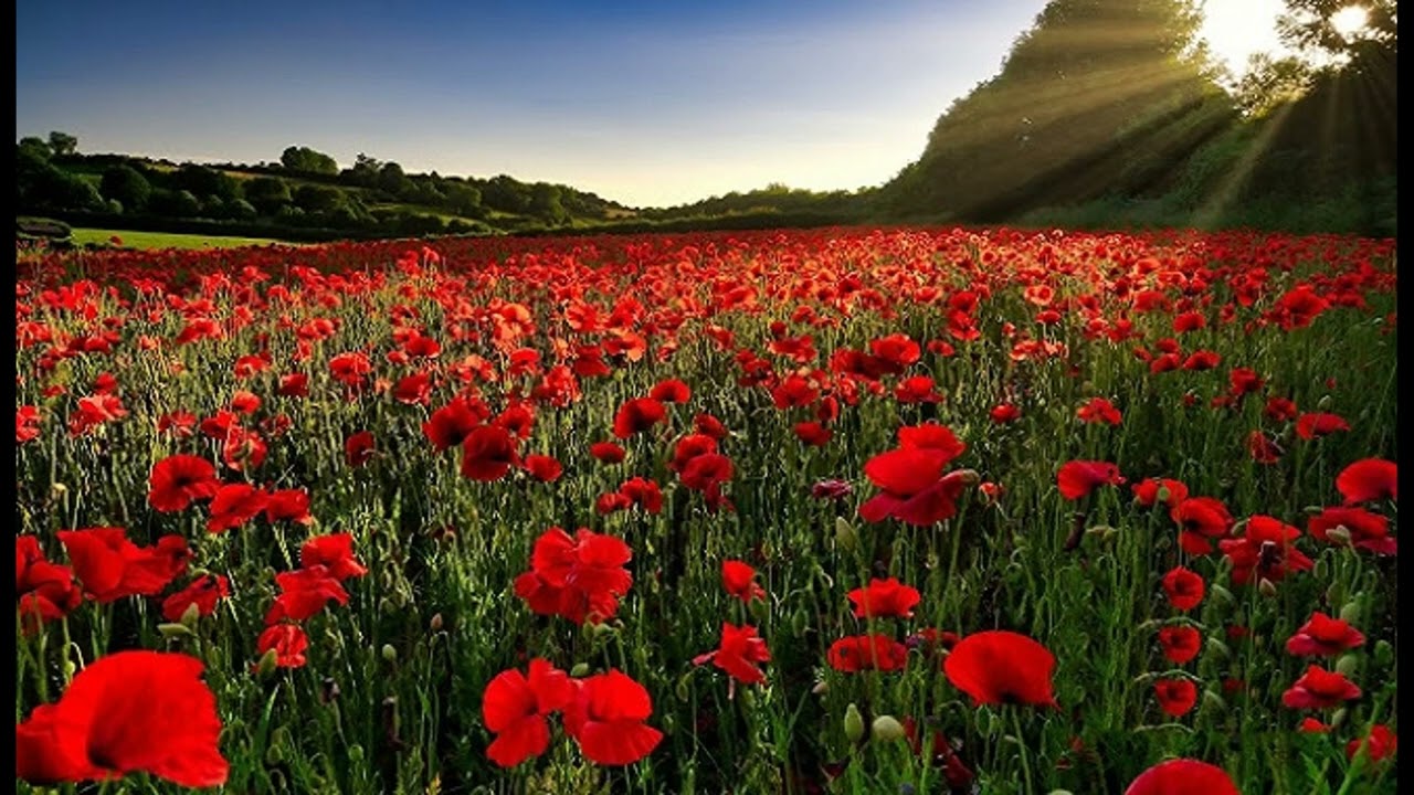 Κυριακή Ε΄ Νηστειών- Περί συνειδήσεως! Αρχιμ. Επιφάνιος Χατζηγιάγκου!